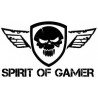 Spirit Of Gamer