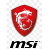 MSI